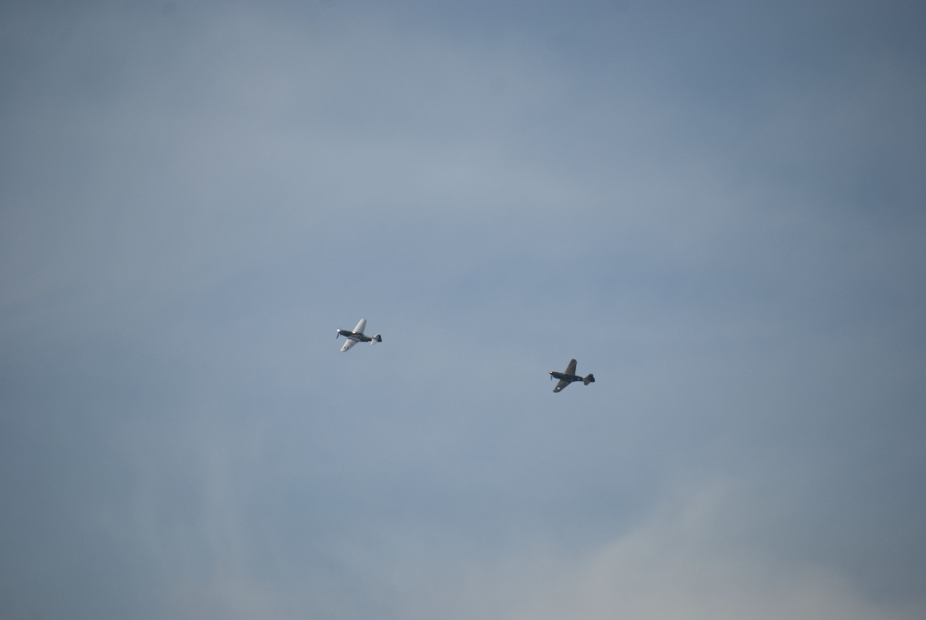 DSC_3611.jpg